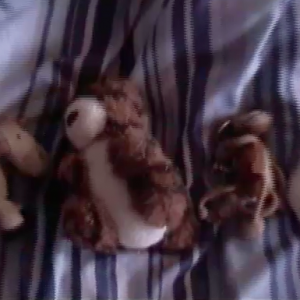 Soft Toys... IN MY ROOM!