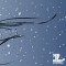 Winter09EP